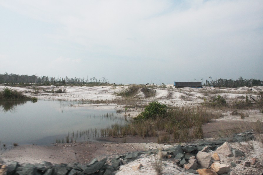 Degraded and deforested land in a gold mining concession in Central Kalimantan, Nanang Indra Kurniawan 11 degraded deforested land