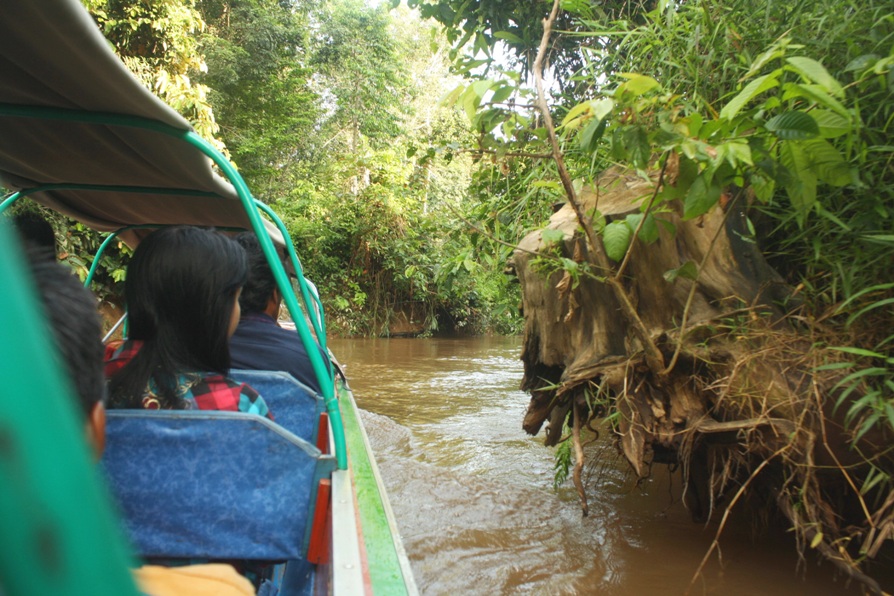 A water taxi navigates a canal formerly used by logging companies to transport logs, Nanang Indra Kurniawan 9 water taxi
