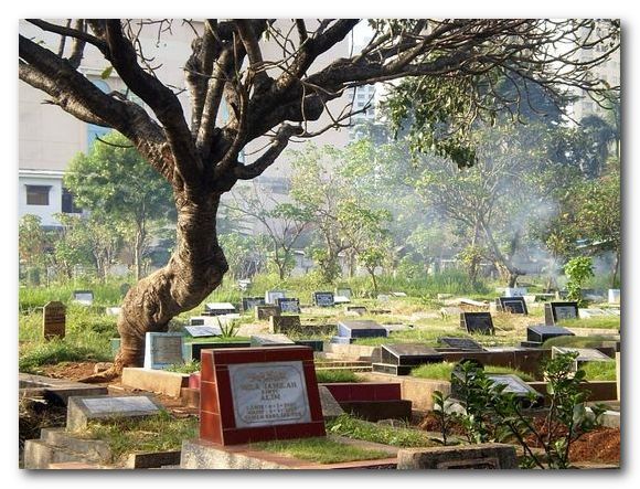 The final resting place for every politician / Michael Buehler