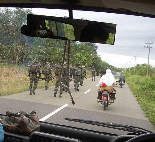 Grayman_Photo_1w.jpg Still a common site in many parts of Aceh