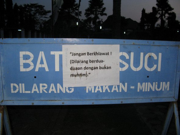 nef2.jpg nef2.jpg