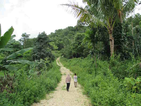 The budget for this new road expired before the work was finished. There is not much traffic on such a dead end road and weeds take over again -  Jacqueline Vel, Sumba, April 2015. The budget for this new road expired before the work was finished. There is not much traffic on such a dead end road and weeds take over again -  Jacqueline Vel, Sumba, April 2015.